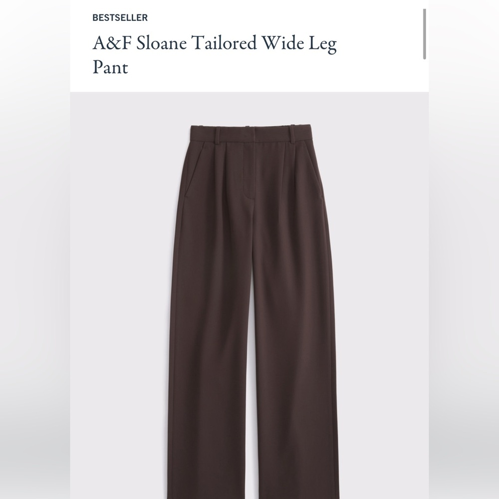 Abercrombie & Fitch Sloane Tailored Wide Leg Pant - Brown